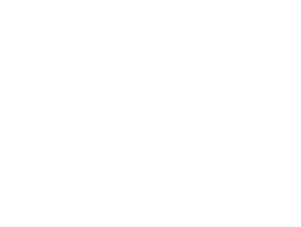 logo-main